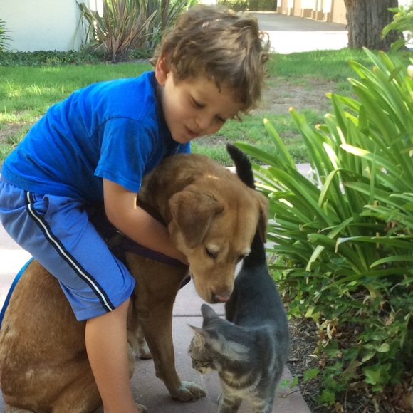 💛 MEET THE POSHER(S) 👶👶👩🐶🐱🐯 - Picture 6 of 16