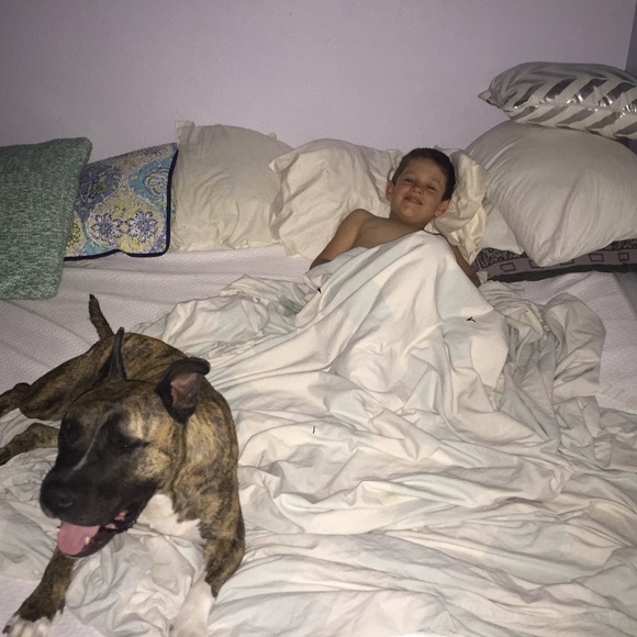 💛 MEET THE POSHER(S) 👶👶👩🐶🐱🐯 - Picture 7 of 16