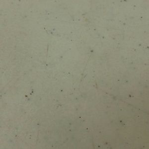 Meet your Posher, Jose