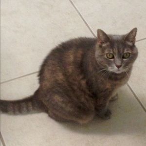 Meet your Posher, Lynette