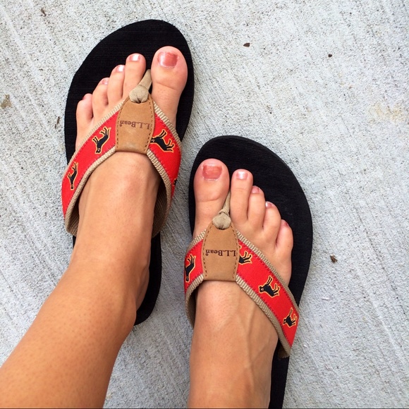 ll bean dog flip flops