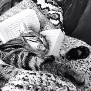 Meet your Posher, Elyse