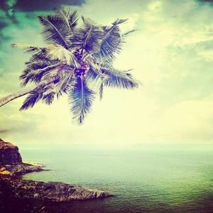 Meet your Posher, Andy