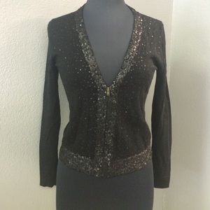 J. Crew Thin Wool Sequin Sweater