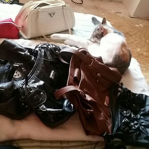 Bundle 5  purses  26 % off discount