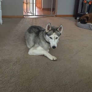 Meet your Posher, Jocelyn