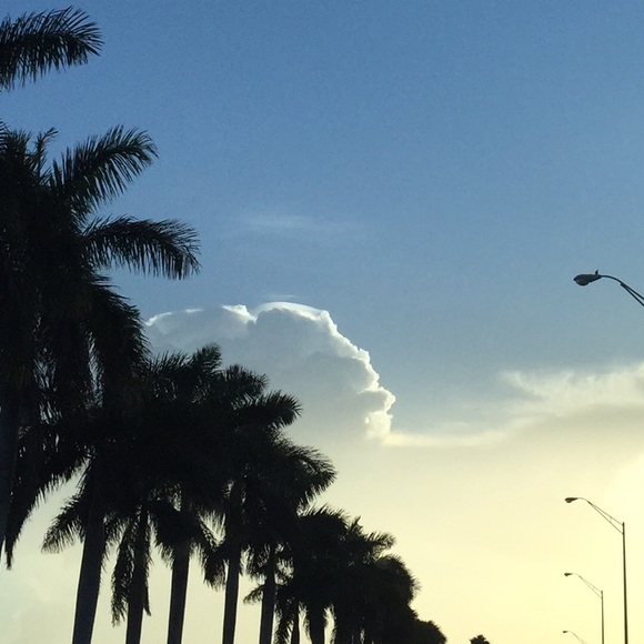 Meet your Posher, Marissa - Picture 1 of 1