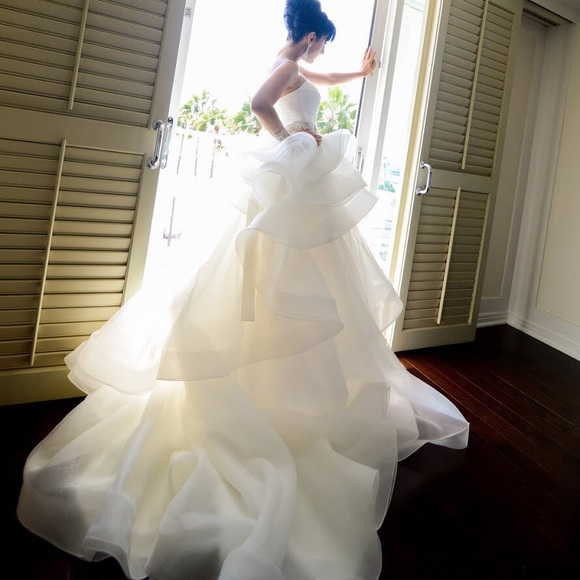 Beautiful FIORE COUTURE Wedding Dress - Picture 1 of 4