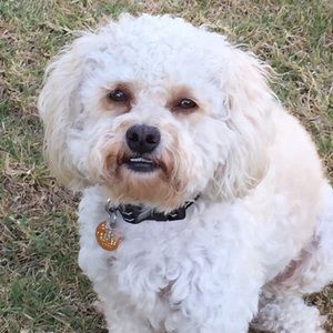 Meet your Posher, Deborah