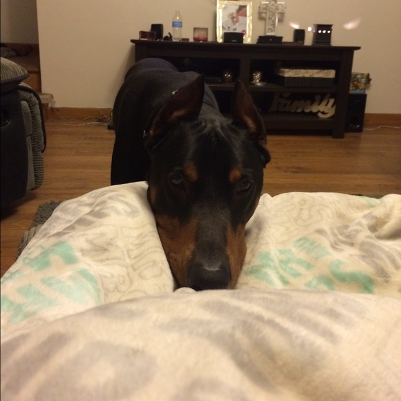 Hello meet your posher, Toshia! - Picture 2 of 2