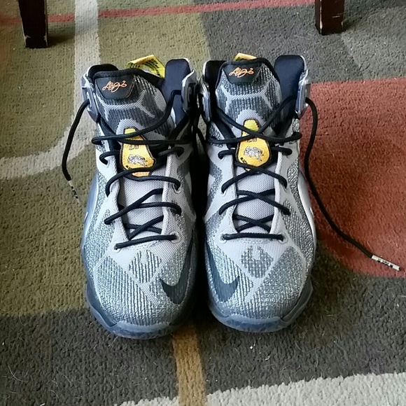 LeBron 12 elites