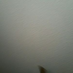 Meet your Posher, Carlos