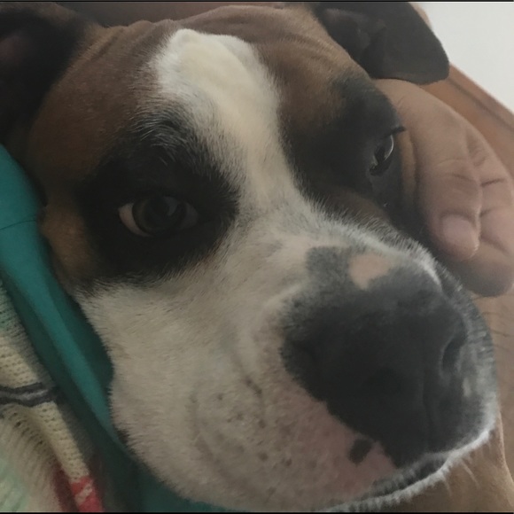 Meet the Posher - Picture 7 of 8