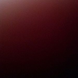 Meet your Posher, Shylo