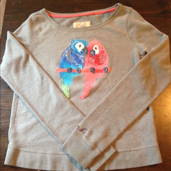 Hollister sweater