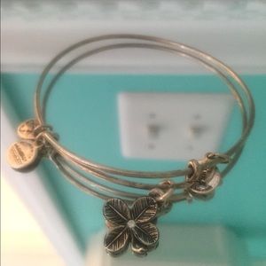 Alex and Ani Lucky Clover Charm Bangle