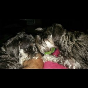 Meet your Posher, Kim