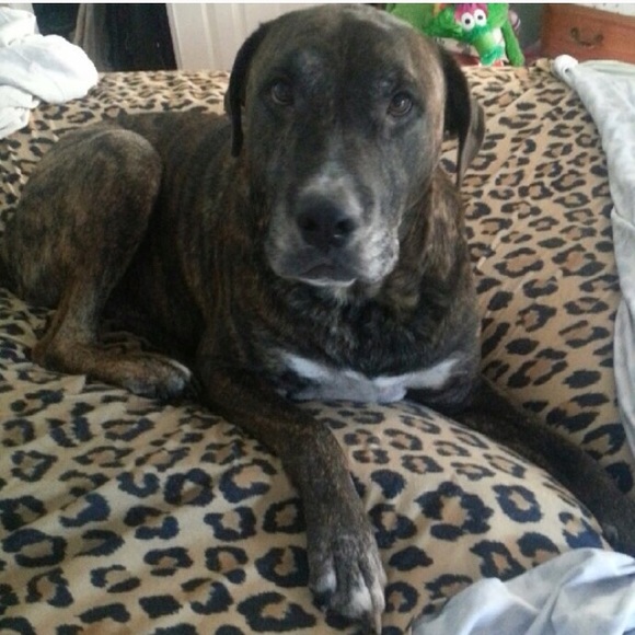 BUNDLE & SAVE! ❤ - Picture 2 of 8