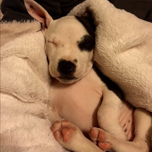 Meet your Posher, Chelsea - Picture 1 of 1