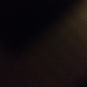 Meet your Posher, Hayley