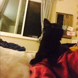 Meet your Posher, Kate