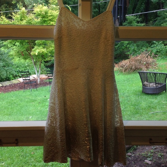 Free people lace dress
