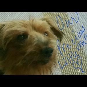 Meet your Posher, Tina