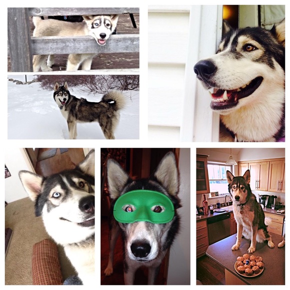 🐾🐾Meet your seller :)🐾🐾follow us on Instagram - Picture 2 of 8