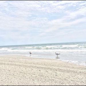 Meet your Posher, Heidy