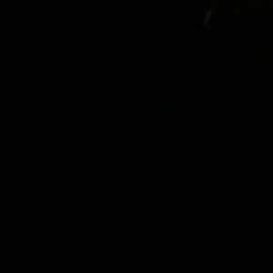 Meet your Posher, Angelita