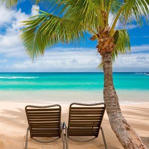 Meet your Posher, Kara