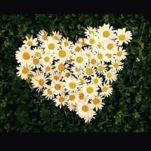 Meet your Posher, Claudia