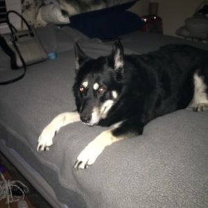 Meet your Posher, Sherry