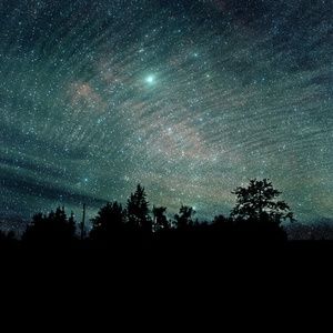 Meet your Posher, Iris