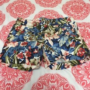 Summer shorts