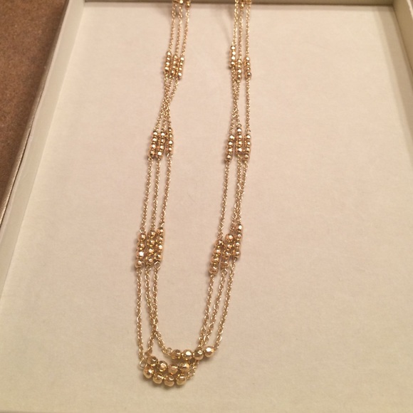 The Limited Necklace