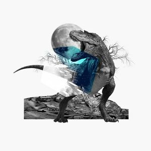 Meet your Posher, Jacellynn