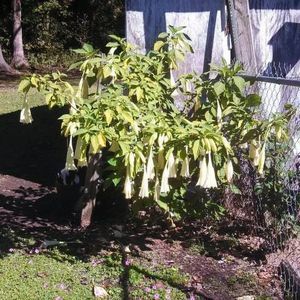 Meet your Posher, Lindi