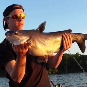 Meet your Posher, Dylan