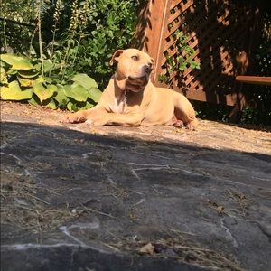 Meet your Posher, Miranda