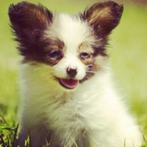 Meet your Posher, Kane