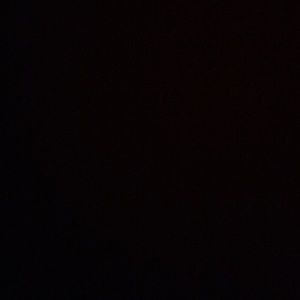 Meet your Posher, Audrey