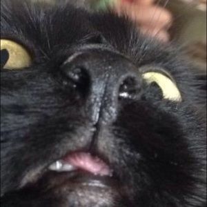 Meet your Posher, Kenia