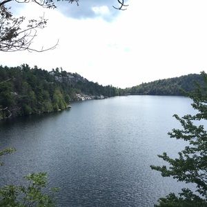 Meet your Posher, Sammi