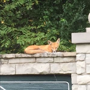 Meet your Posher, Kendall