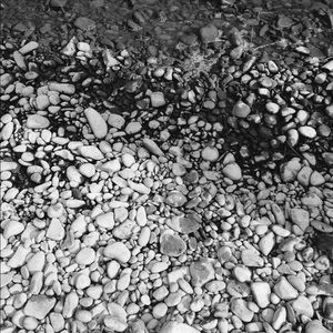 Meet your Posher, Maddi