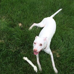 Meet your Posher, Dave