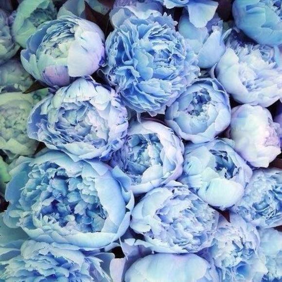 Meet your Posher, Kathryn