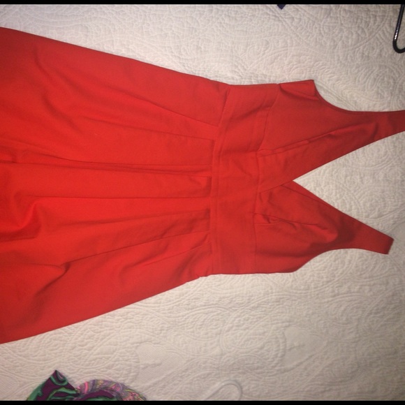 BB Dakota Dress
