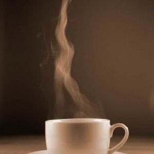 Meet your Posher, Leo